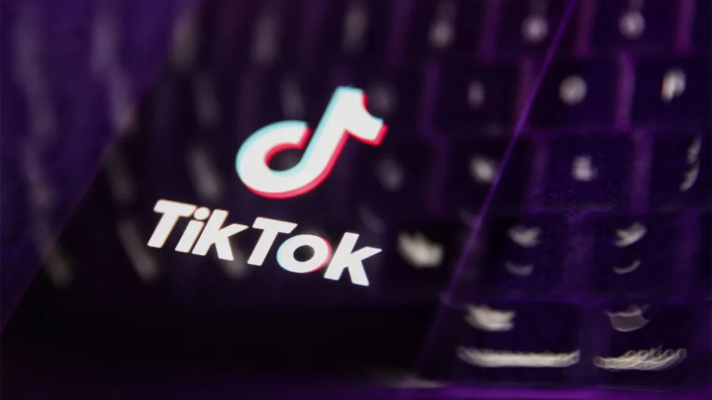 tiktok downloader

